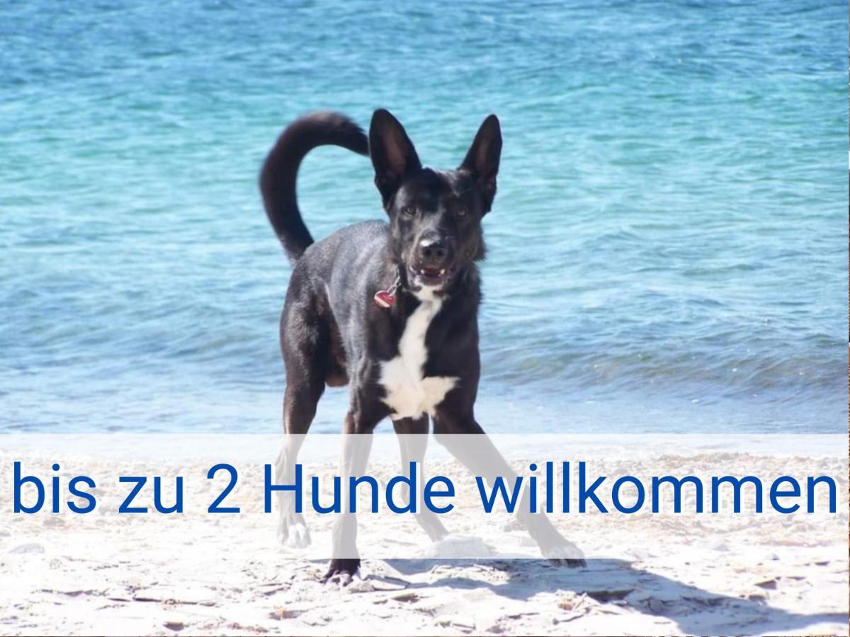 Boeltser Hus Ferienwohnungen Mit Strandkorb Und Kamin 10 Gehminuten Zum Kurtaxefreien Sandstrand Kraksdorf Екстериор снимка