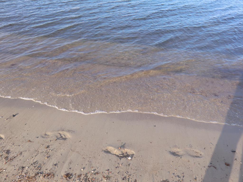 Boeltser Hus Ferienwohnungen Mit Strandkorb Und Kamin 10 Gehminuten Zum Kurtaxefreien Sandstrand Kraksdorf Екстериор снимка